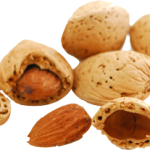 1-almond